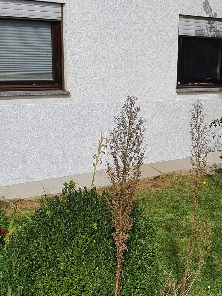 kewabo® gmbh münchen referenzen